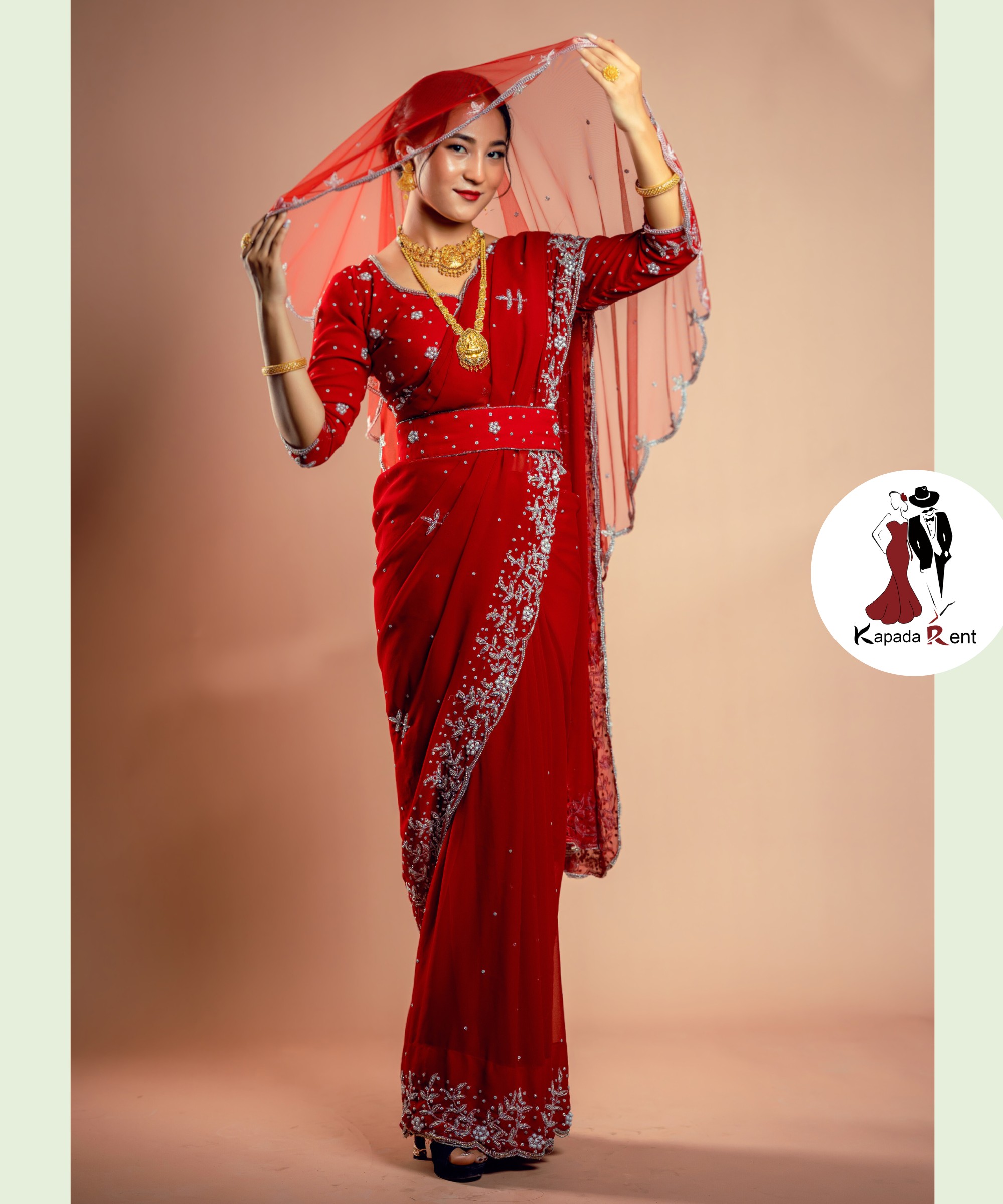 Silver Hand work Bridal Saree on chiffon